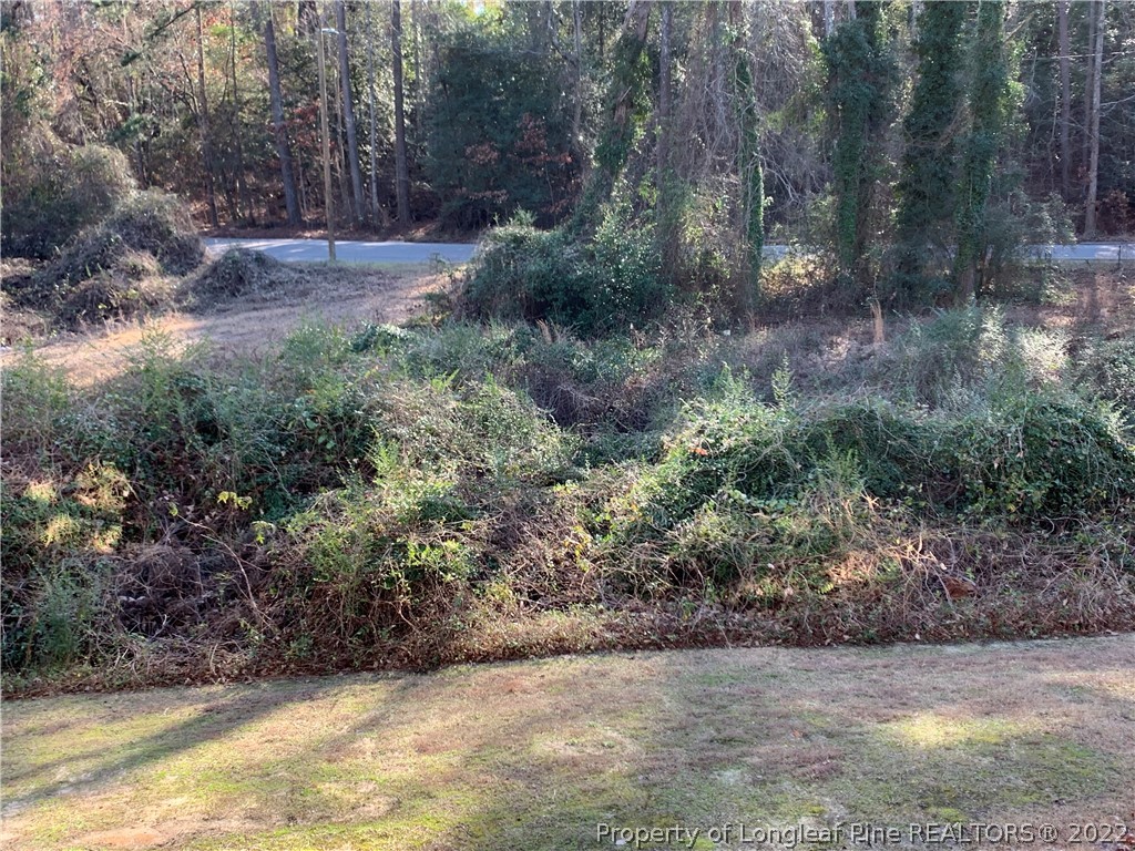 2651 Lockwood Road Fayetteville, NC 28303 - Photo 18 of 18 a view of backyard with outdoor space