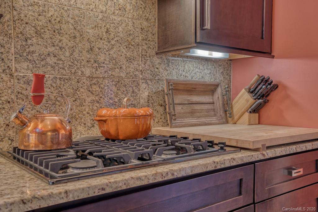 39 Hunting Country Trail, Unit 39 Tryon, NC 28782 - Photo 20 of 41 Gallery Image 20