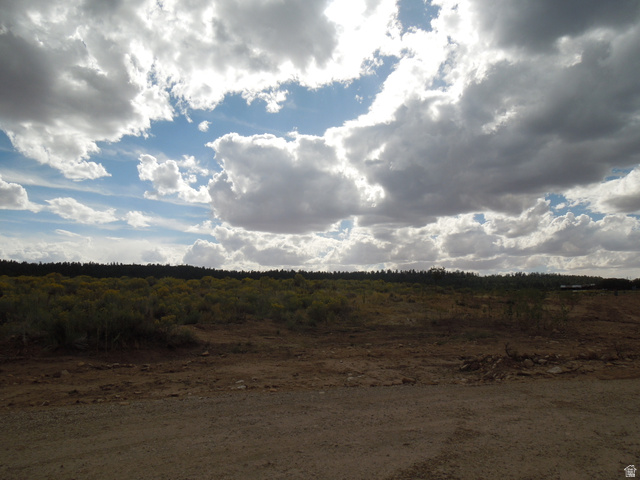 80 Stone Road South, Unit 5 La Sal, UT 84530 - Photo 3 of 3 View of undeveloped land