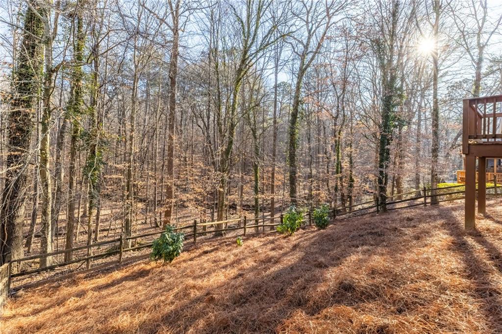 705 Springview Court Roswell, GA 30076 - Photo 71 of 79