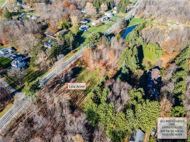 a view of grapes plant