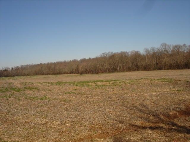 0 Minnicks-Johnson Road Franklin, KY 42134 - Photo 6 of 12 Gallery Image 6
