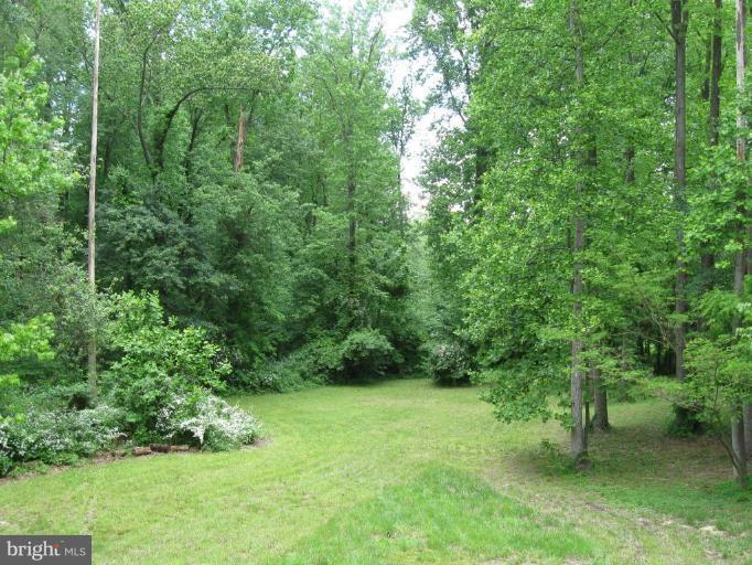 12905 Brandywine Road Brandywine, MD 20613 - Photo 2 of 18 Back yard