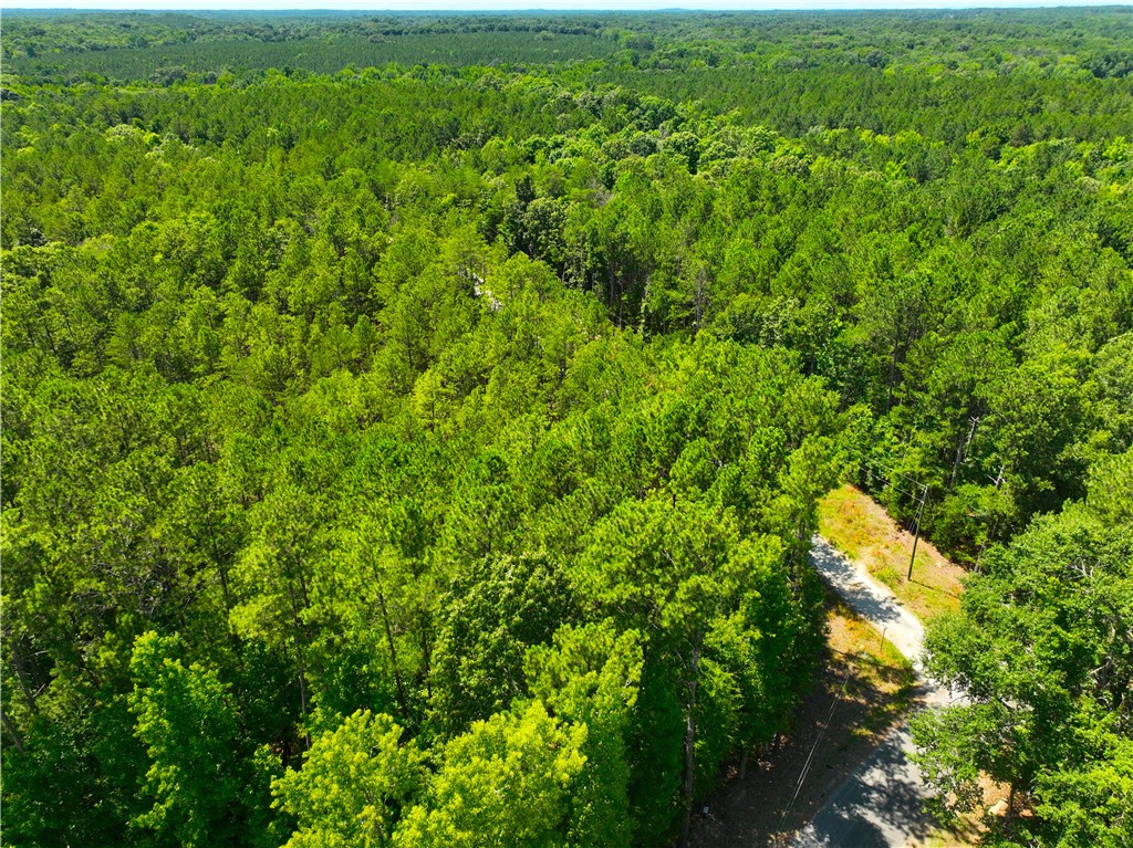 401 Coleman Road Clinton, SC 29325 - Photo 16 of 25