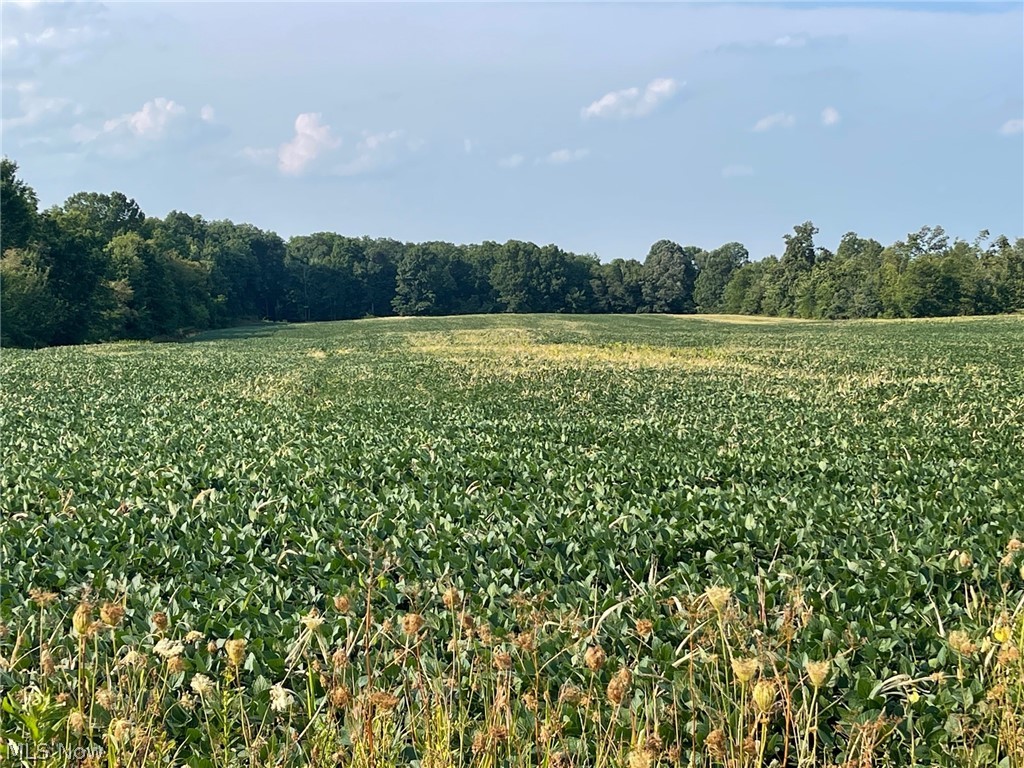 Hughes Road Ravenna, OH 44266 - Photo 2 of 4