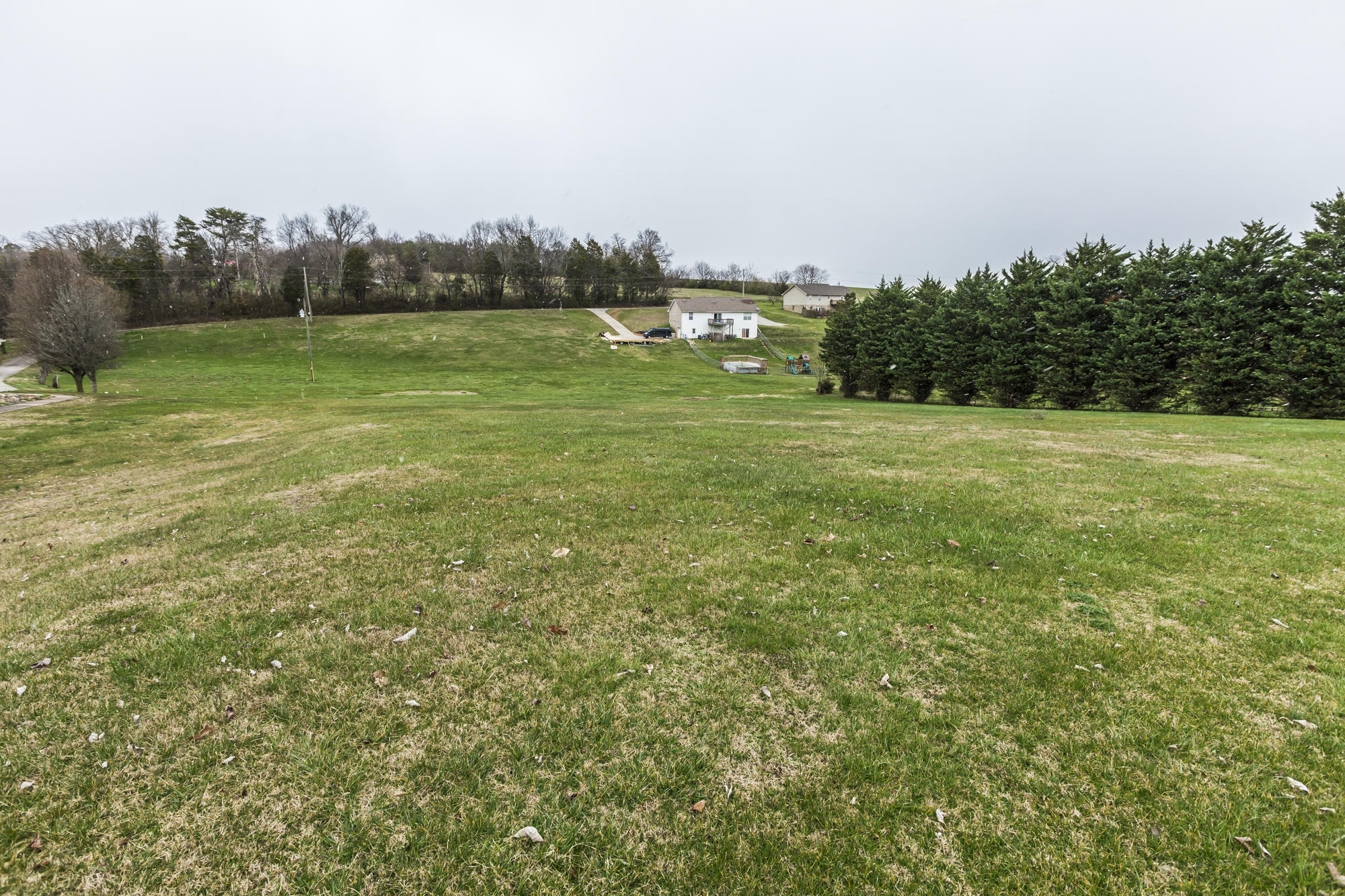 1451 Lambert Road Greenback, TN 37742 - Photo 7 of 21 _MG_8947w