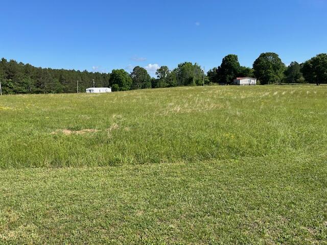 1307 Lee Mason Road LaFayette, GA 30728 - Photo 15 of 57 IMG_0797