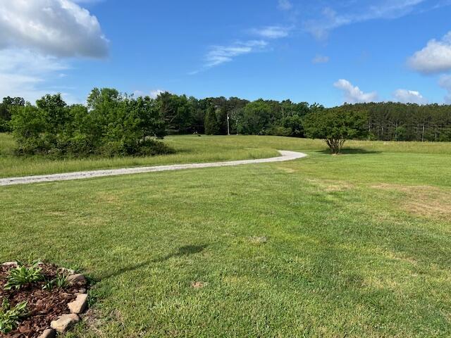 1307 Lee Mason Road LaFayette, GA 30728 - Photo 17 of 57 IMG_0787