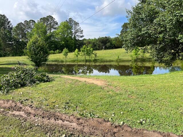 1307 Lee Mason Road LaFayette, GA 30728 - Photo 23 of 57 IMG_0774