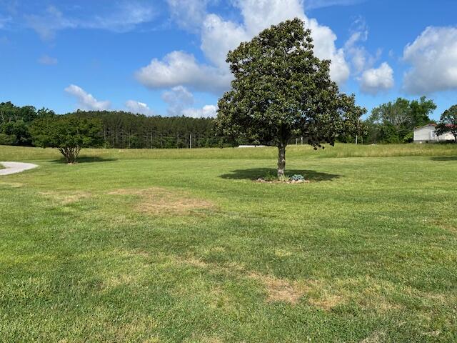 1307 Lee Mason Road LaFayette, GA 30728 - Photo 25 of 57 IMG_0786
