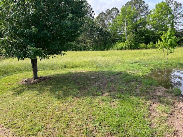 1307 Lee Mason Road LaFayette, GA 30728 - Photo 34 of 57 IMG_0776