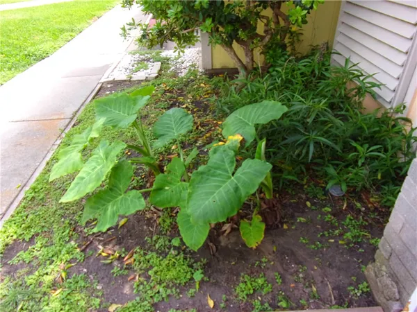 $1,200 | 6702 Everhart Road, Unit V102, Corpus Christi, TX 78413