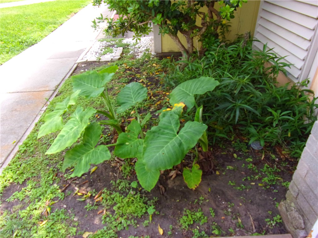 6702 Everhart Road, Unit V102 Corpus Christi, TX 78413 - Photo 8 of 32