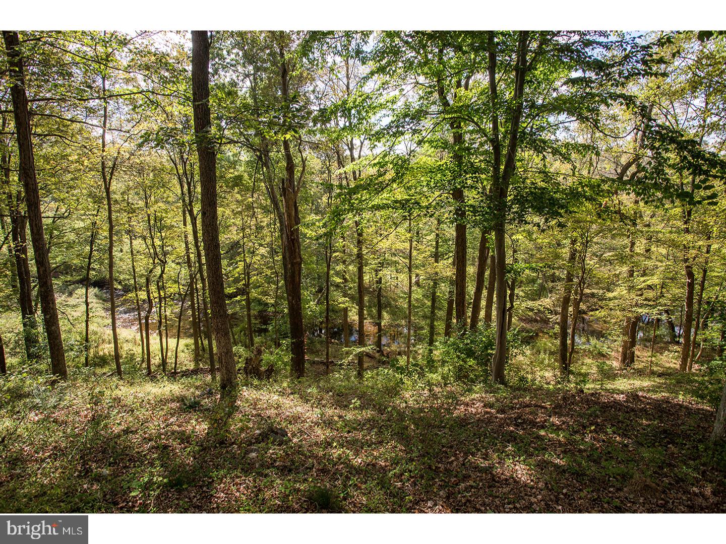 3080 Funks Mill Road Riegelsville, PA 18077 - Photo 8 of 25 Gallery Image 8