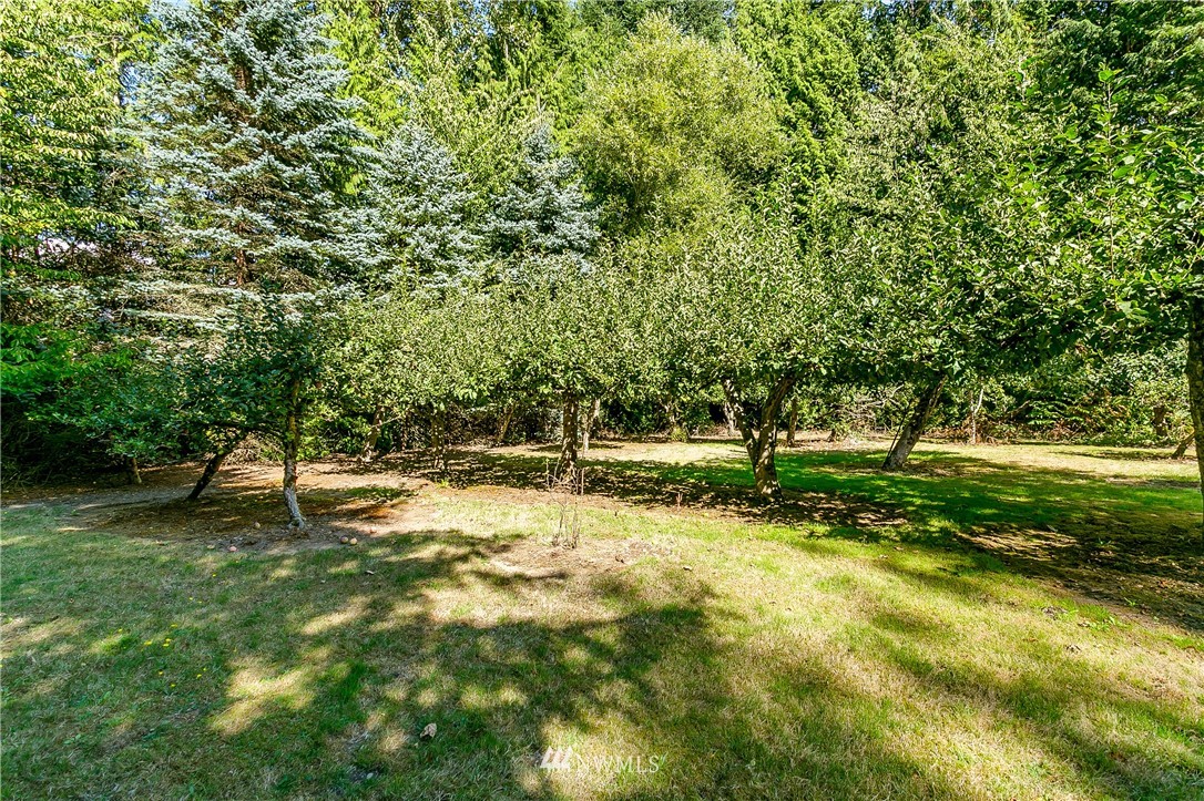 7592 Woodland Road Ferndale, WA 98248 - Photo 25 of 38 a swimming pool with trees in the background