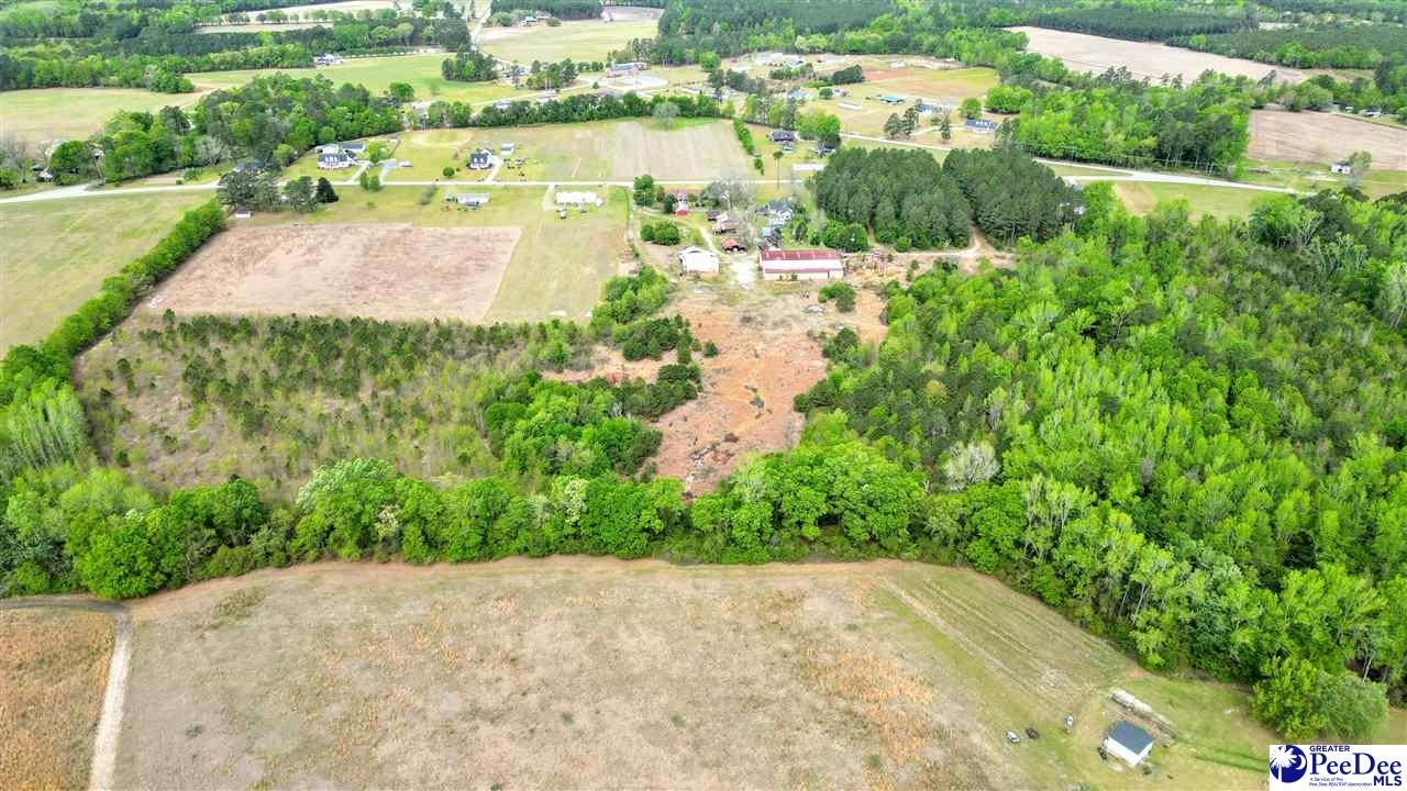 6300 Temperance Hill Road Marion, SC 29571 - Photo 4 of 20 Gallery Image 4