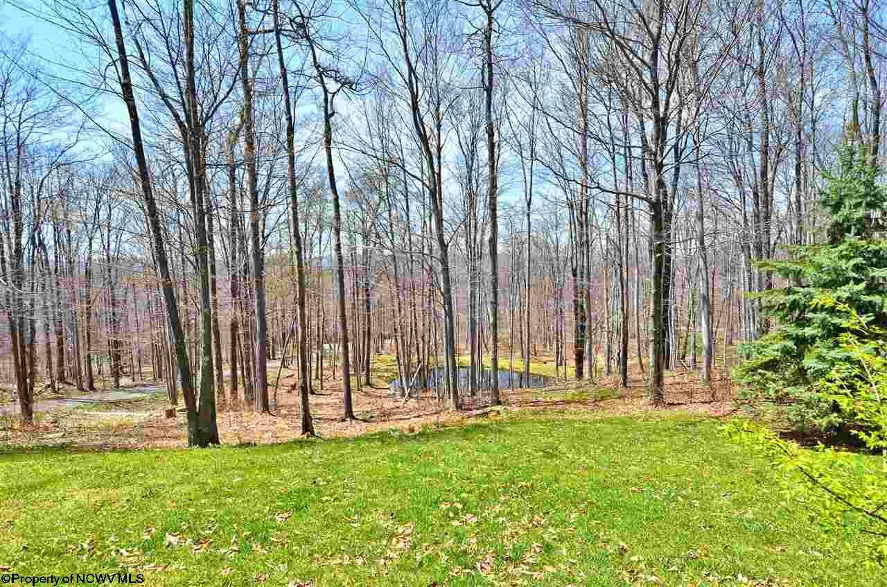 2198 Cabin Mountain Road Davis, WV 26260 - Photo 16 of 20 Gallery Image 16