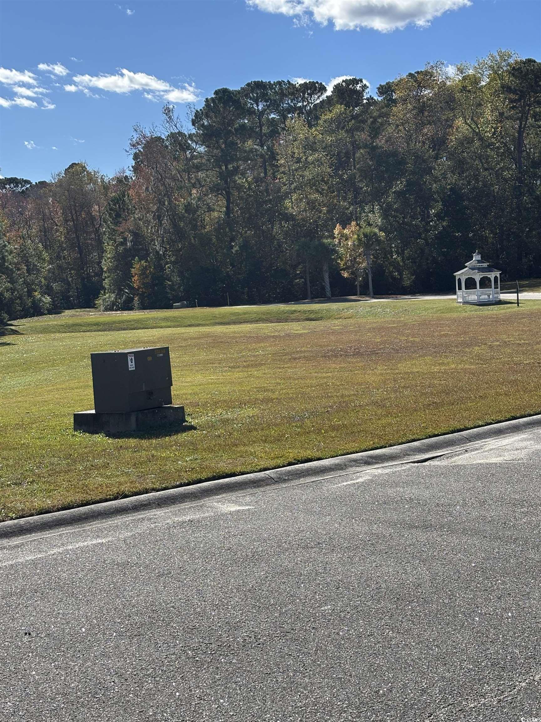 829 Commanders Island Road Georgetown, SC 29440 - Photo 3 of 21