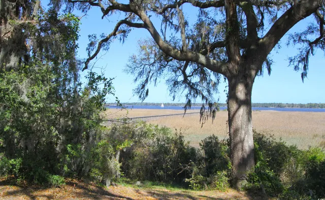 $65,000 | 829 Commanders Island Road, Georgetown, SC 29440