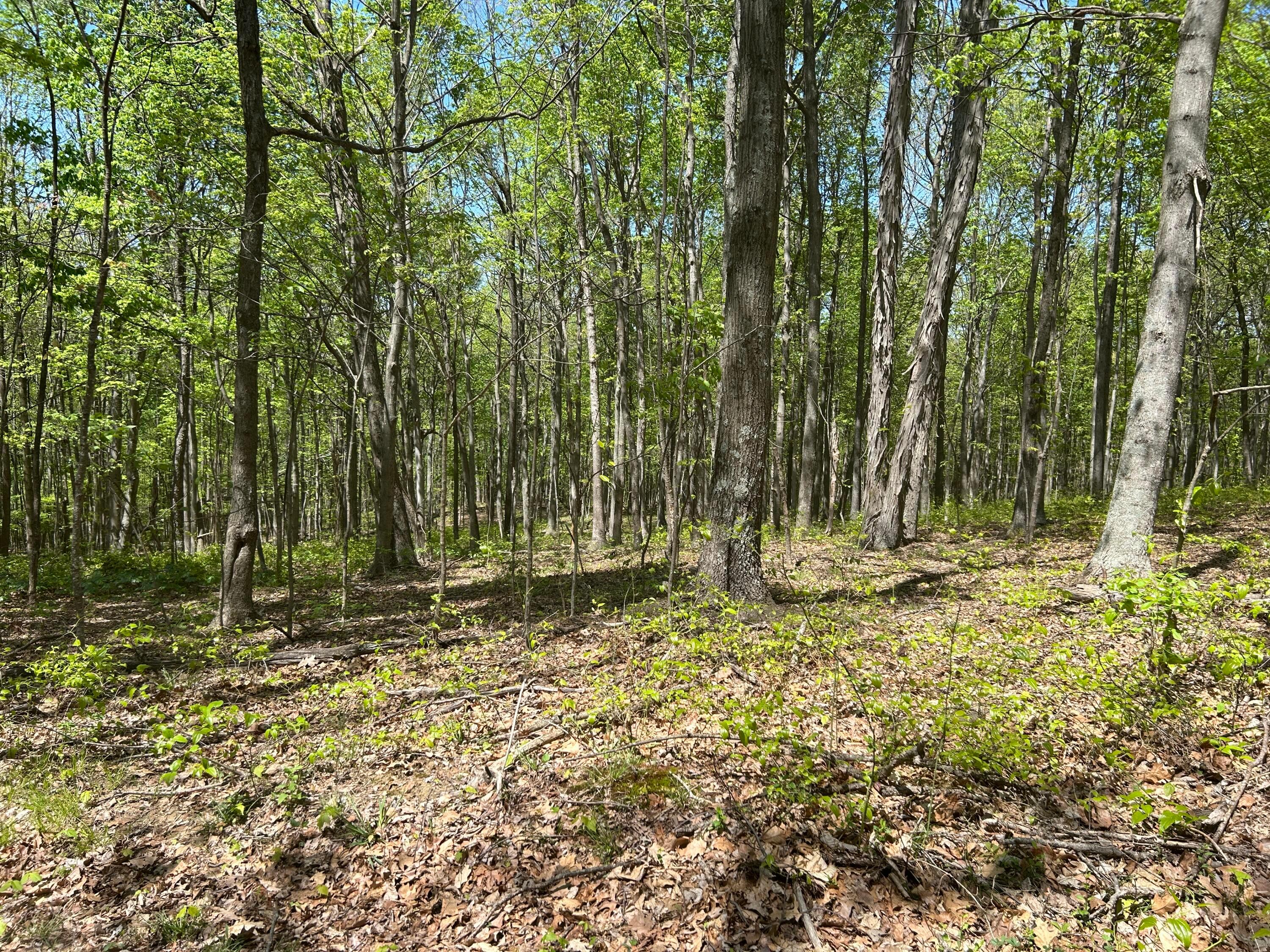 9407 Laurel Ridge Road, Unit 9405 Piketon, OH 45661 - Photo 23 of 34 pic 3