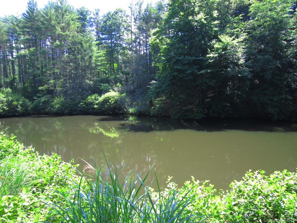 72 Sams Road Weaverville, NC 28787 - Photo 29 of 33 Gallery Image 29