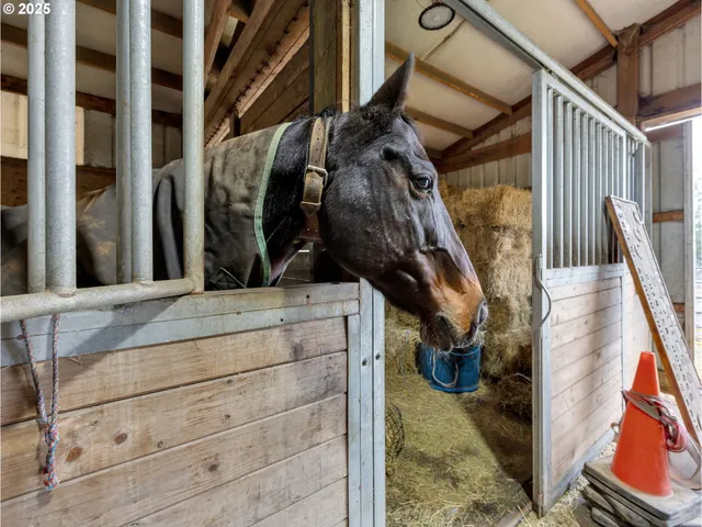a view of outdoor space with seating