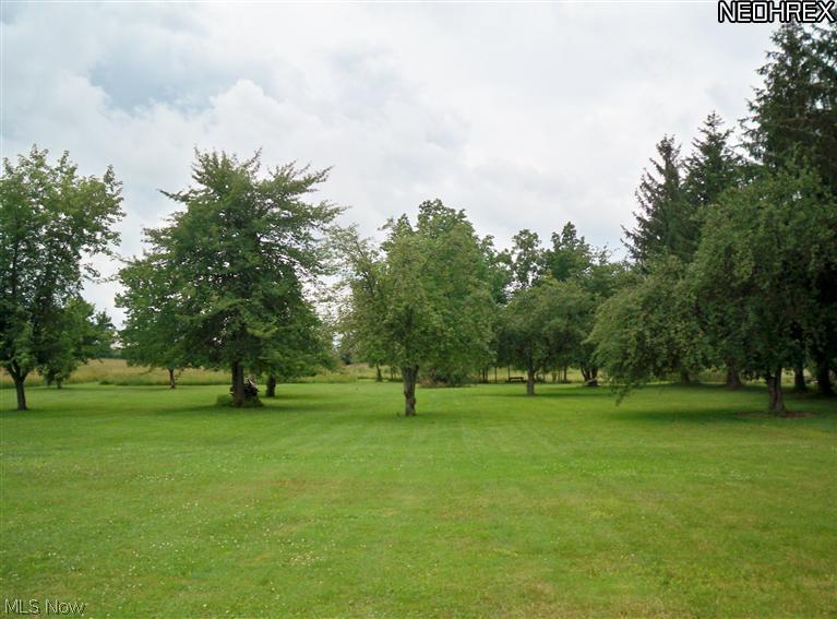 2006 Frost Road Streetsboro, OH 44241 - Photo 22 of 25 Another view of the wooded backyard
