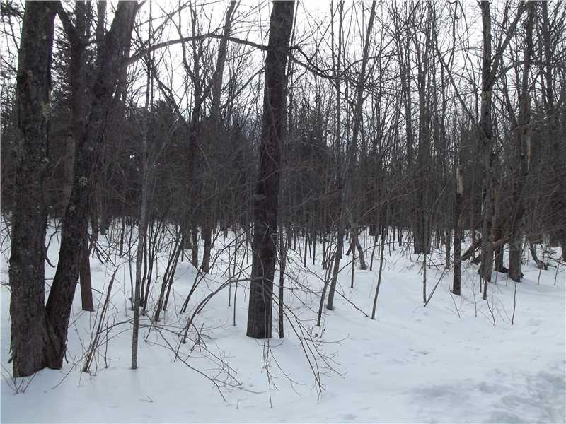 0 Goosepecker Ridge Road Montville, ME 04941 - Photo 2 of 5 Exterior Front.