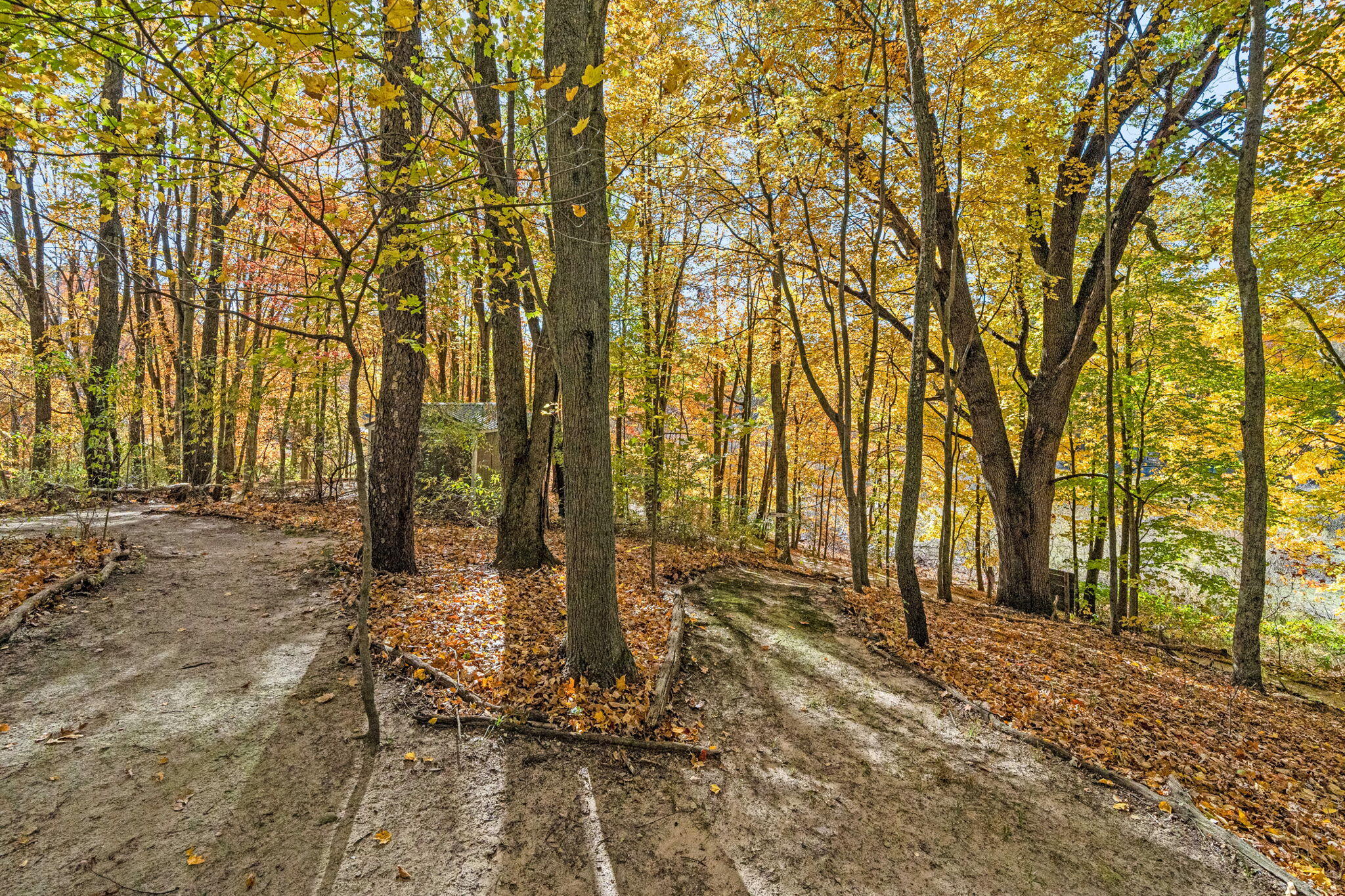 60070 Pemberton Road Vandalia, MI 49095 - Photo 16 of 86 60070 Pemberton Rd (15 of 130)
