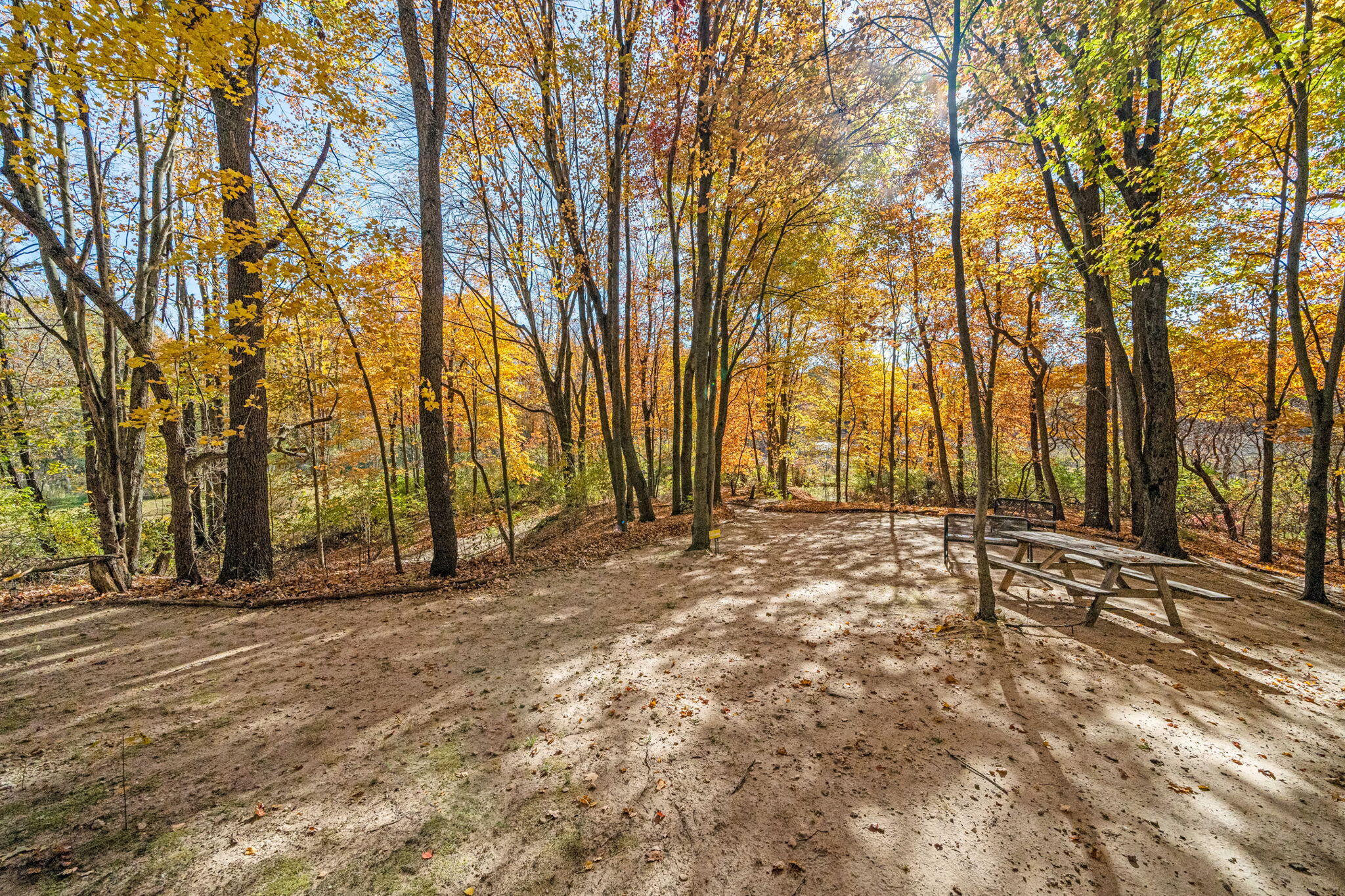 60070 Pemberton Road Vandalia, MI 49095 - Photo 17 of 86 60070 Pemberton Rd (16 of 130)