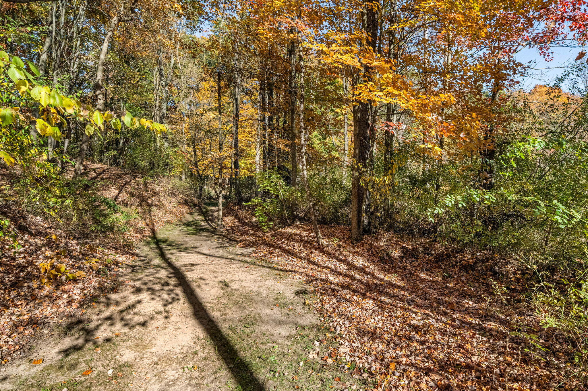 60070 Pemberton Road Vandalia, MI 49095 - Photo 24 of 86 60070 Pemberton Rd (23 of 130)