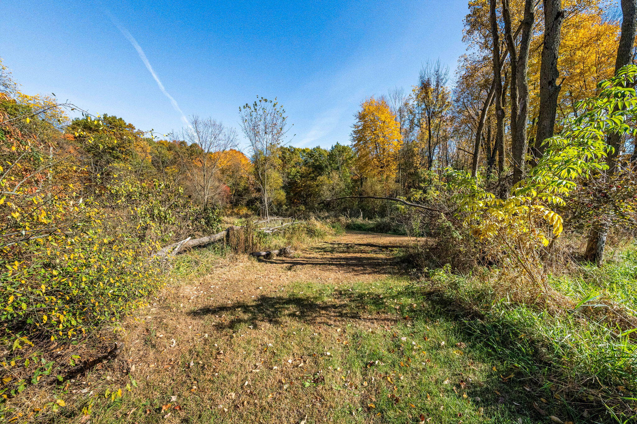 60070 Pemberton Road Vandalia, MI 49095 - Photo 25 of 86 60070 Pemberton Rd (24 of 130)