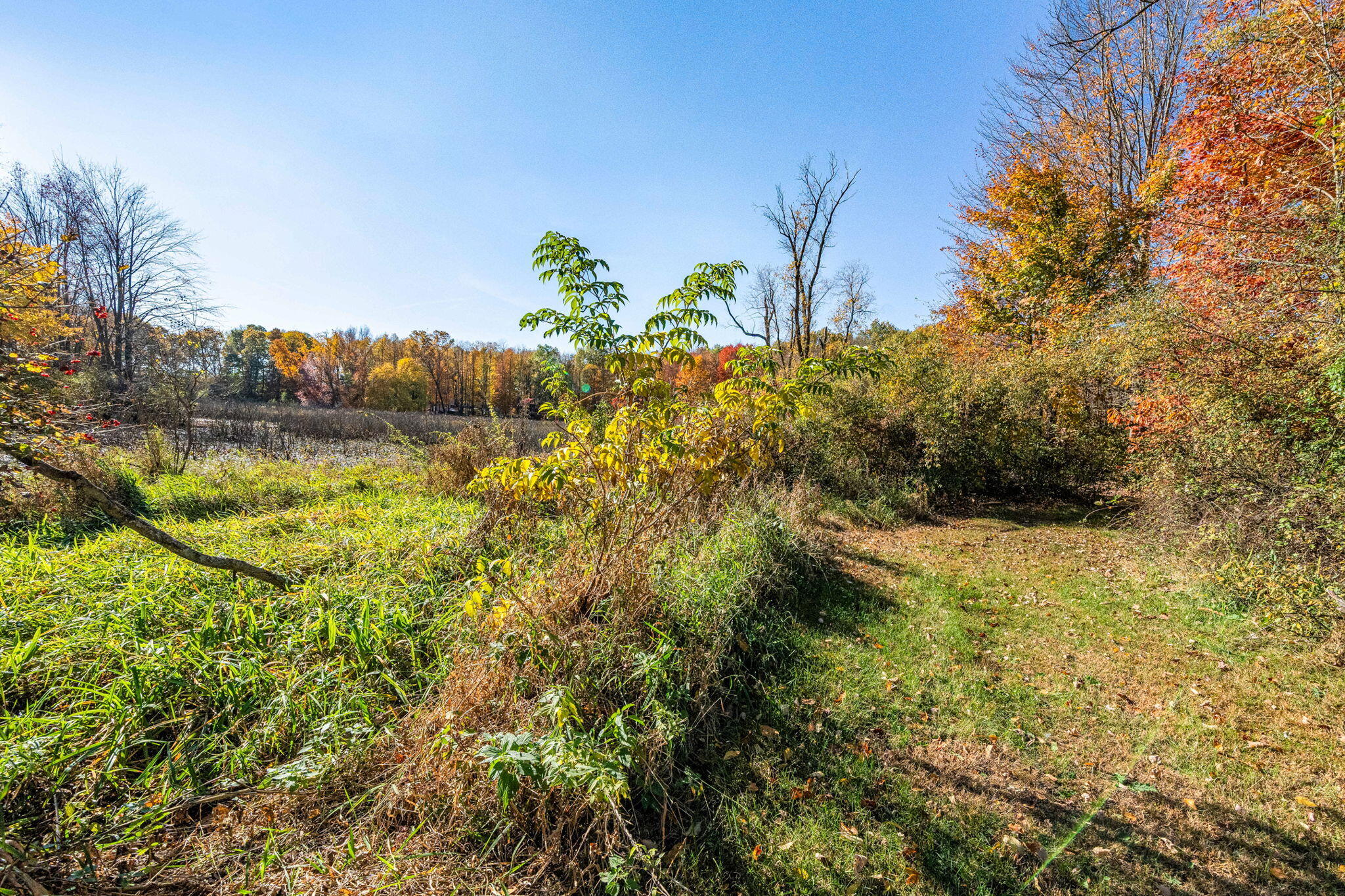 60070 Pemberton Road Vandalia, MI 49095 - Photo 26 of 86 60070 Pemberton Rd (25 of 130)