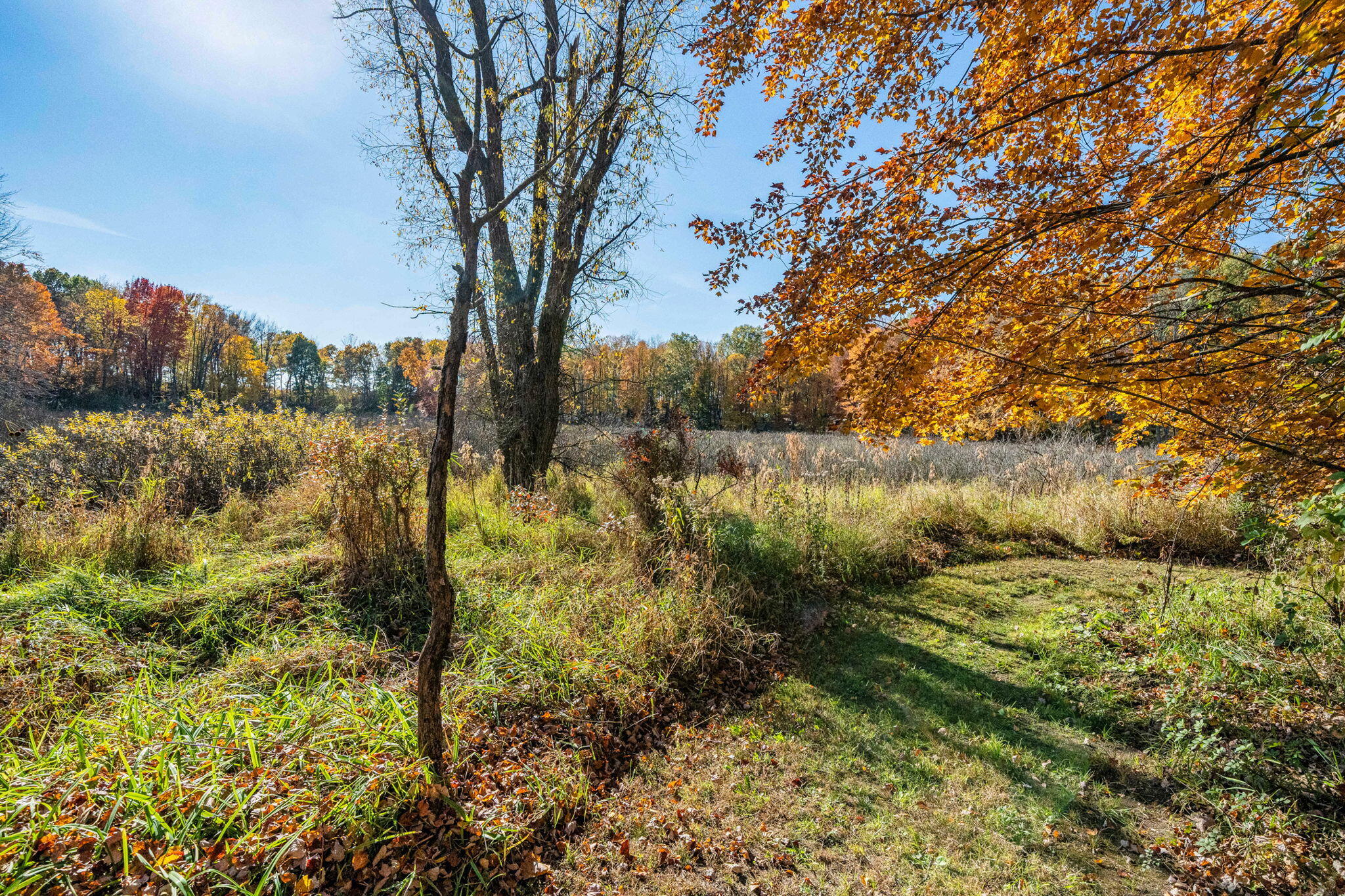 60070 Pemberton Road Vandalia, MI 49095 - Photo 29 of 86 60070 Pemberton Rd (28 of 130)