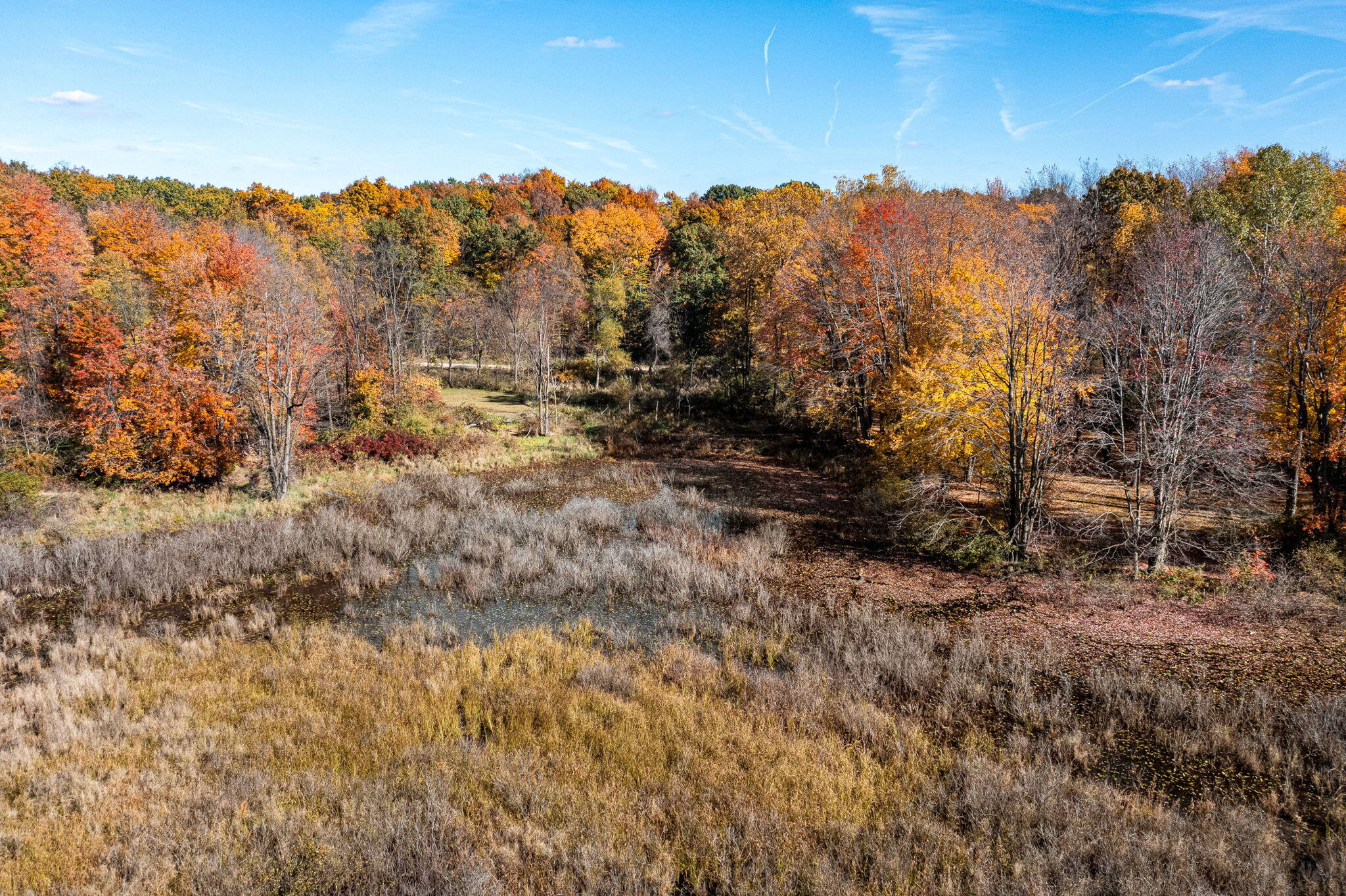 60070 Pemberton Road Vandalia, MI 49095 - Photo 59 of 86 60070 Pemberton Rd (59 of 130)