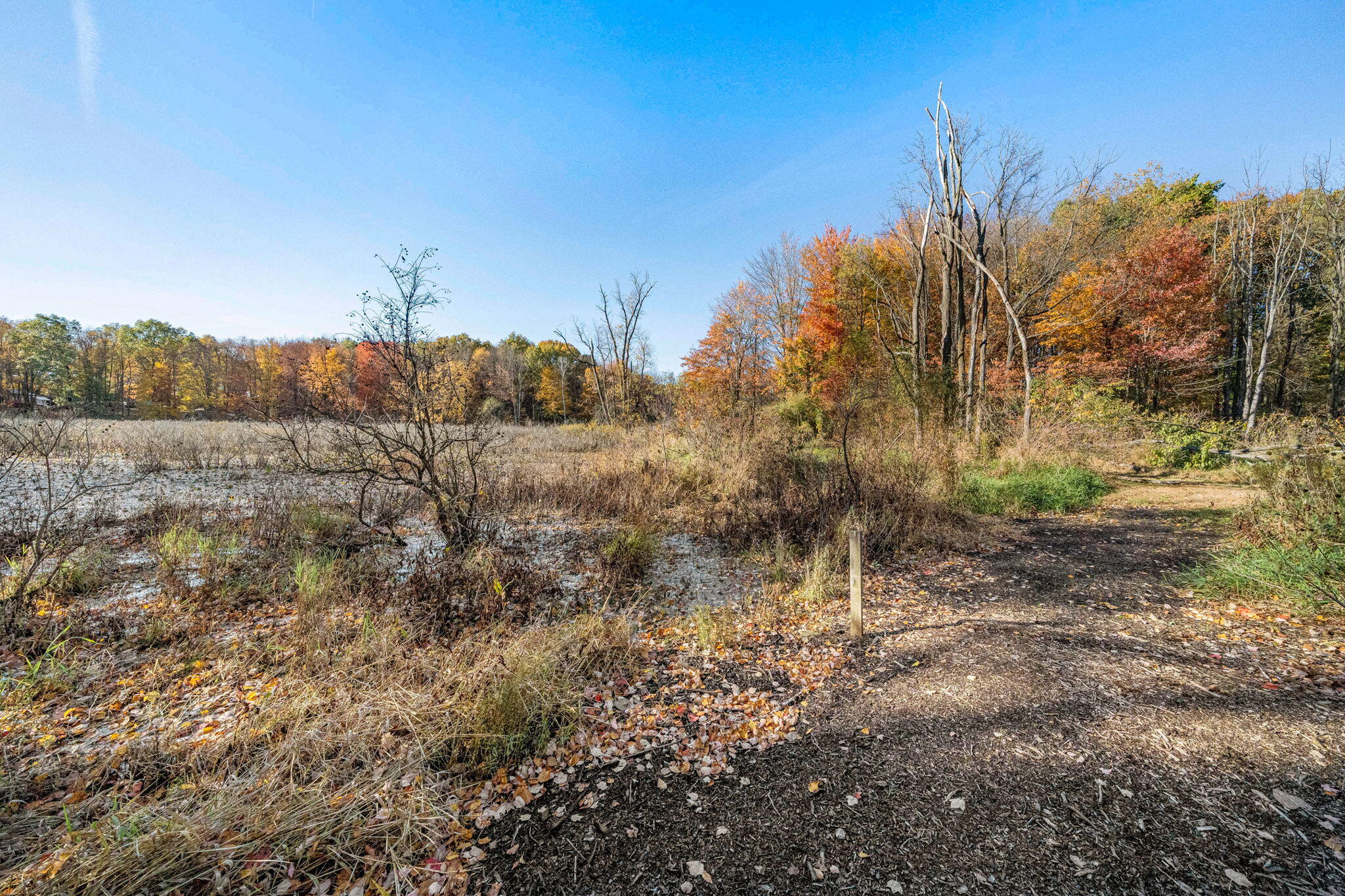 60070 Pemberton Road Vandalia, MI 49095 - Photo 81 of 86 60070 Pemberton Rd (81 of 130)