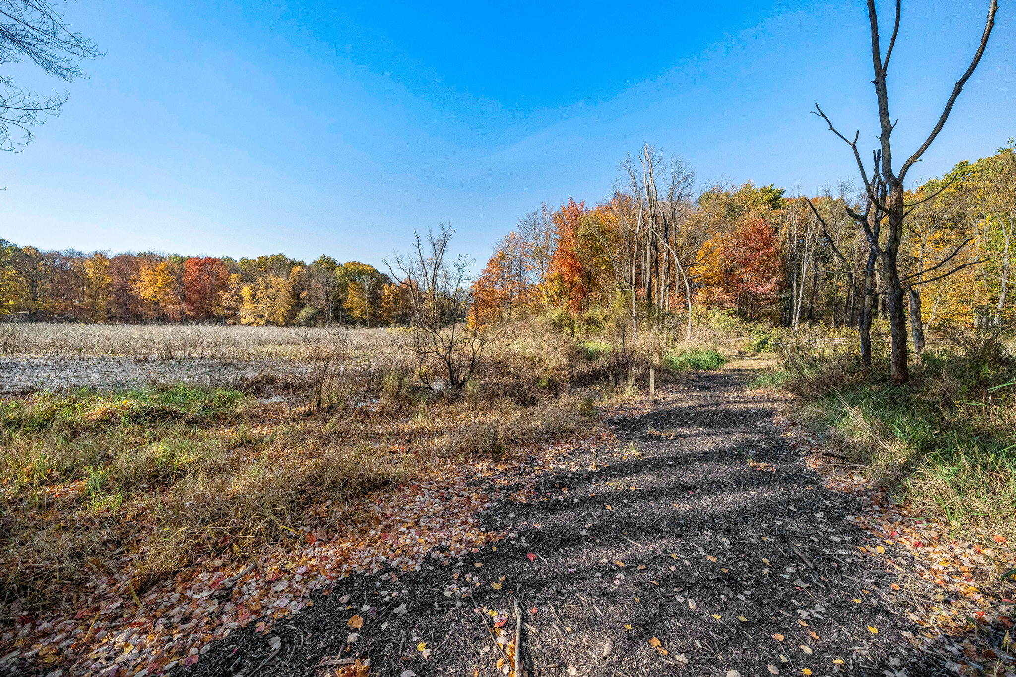 60070 Pemberton Road Vandalia, MI 49095 - Photo 82 of 86 60070 Pemberton Rd (82 of 130)