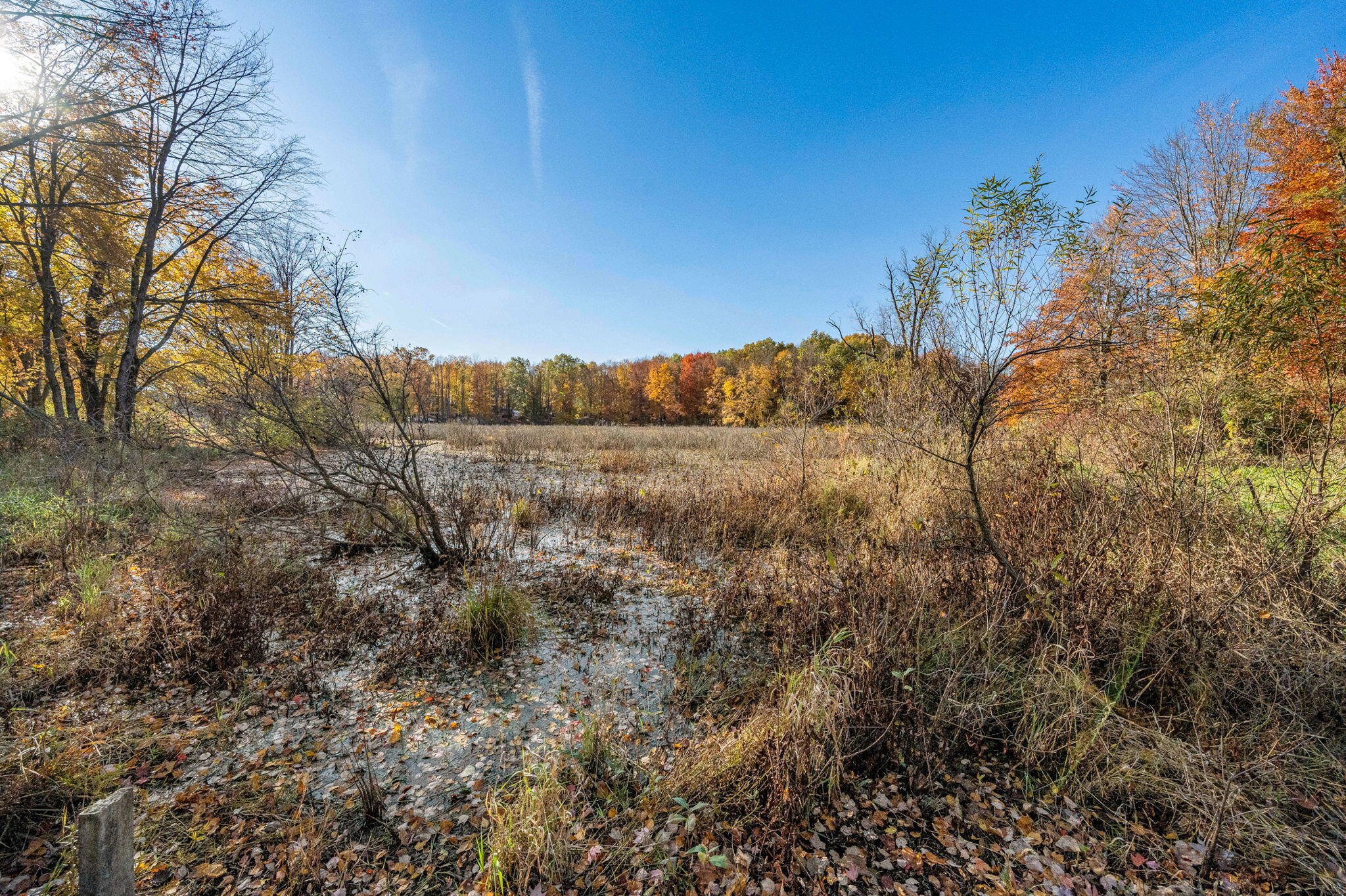 60070 Pemberton Road Vandalia, MI 49095 - Photo 84 of 86 60070 Pemberton Rd (84 of 130)