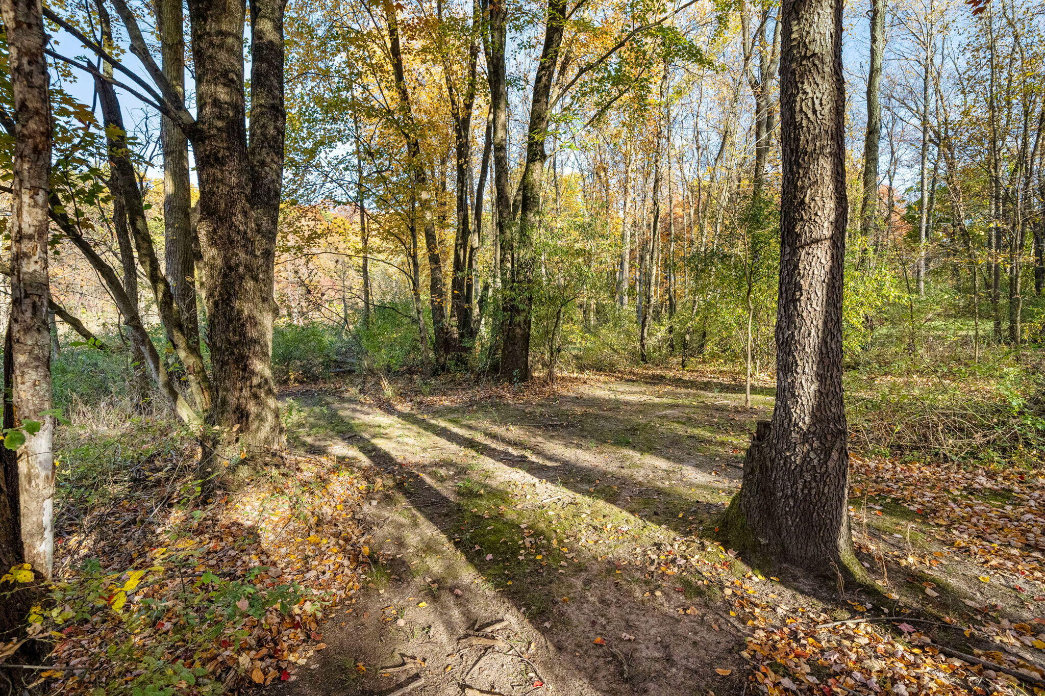 60070 Pemberton Road Vandalia, MI 49095 - Photo 86 of 86 60070 Pemberton Rd (86 of 130)