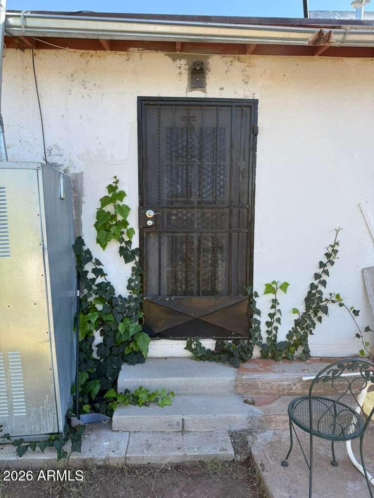 a couple of potted plants in front of door