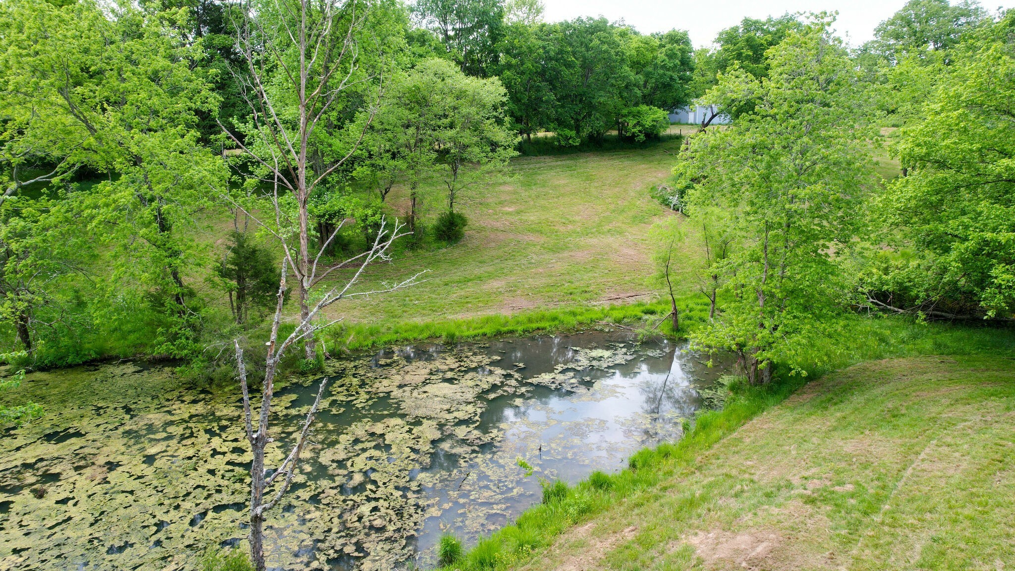 8260 Hawkins Road College Grove, TN 37046 - Photo 11 of 29 Gallery Image 11