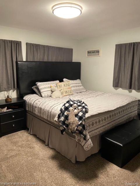 5328 Sandusky Road Peck, MI 48466 - Photo 15 of 19 Gallery Image 15