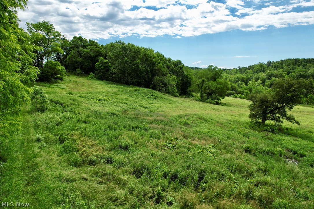 View of mother earth's splendor