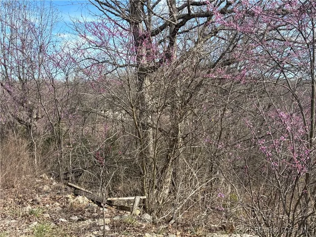 $59,900 | Tbd Hwy West, Lake Ozark, MO 65049