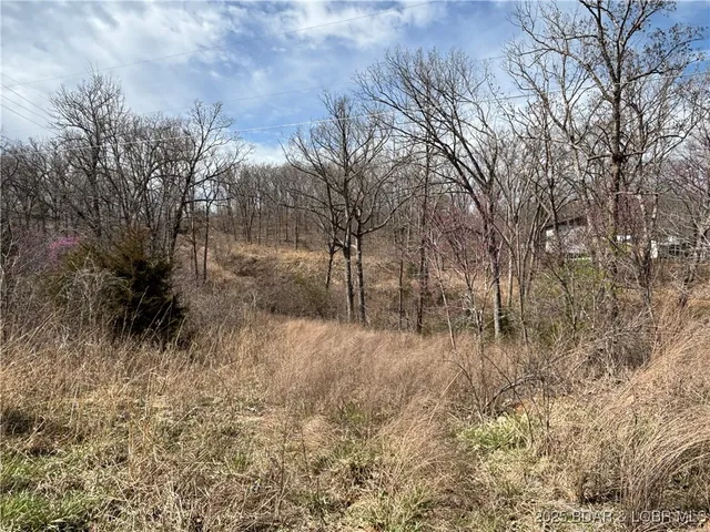 $59,900 | Tbd Hwy West, Lake Ozark, MO 65049