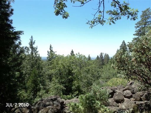 27679 Bullskin Ridge Road Oak Run, CA 96069 - Photo 5 of 22 Valley view