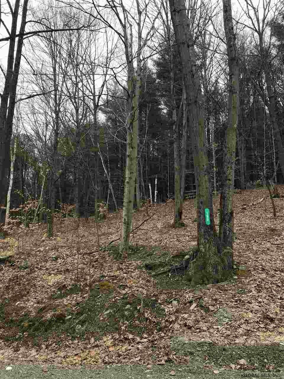 190 Stewart Road Petersburgh, NY 12138 - Photo 2 of 3 Photo 2