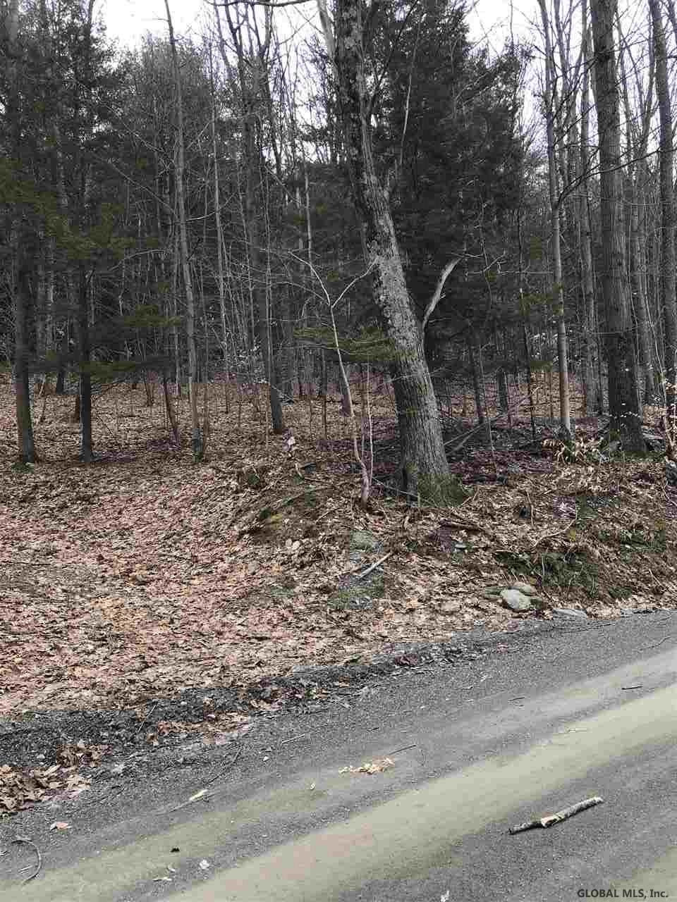 190 Stewart Road Petersburgh, NY 12138 - Photo 3 of 3 Photo 3