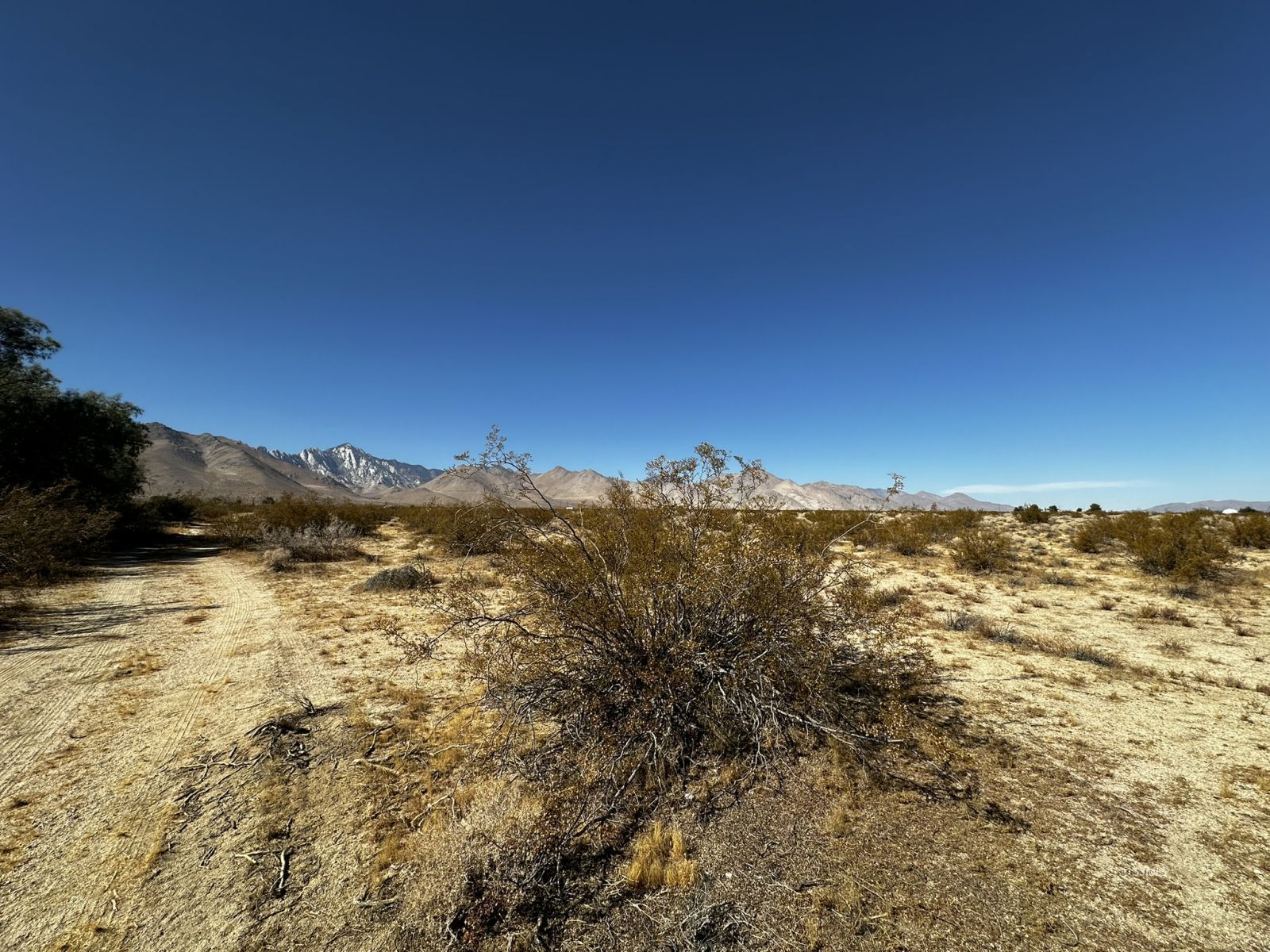 56-340-20 Neal Ranch Road Inyokern, CA 93527 - Photo 10 of 14 Gallery Image 10