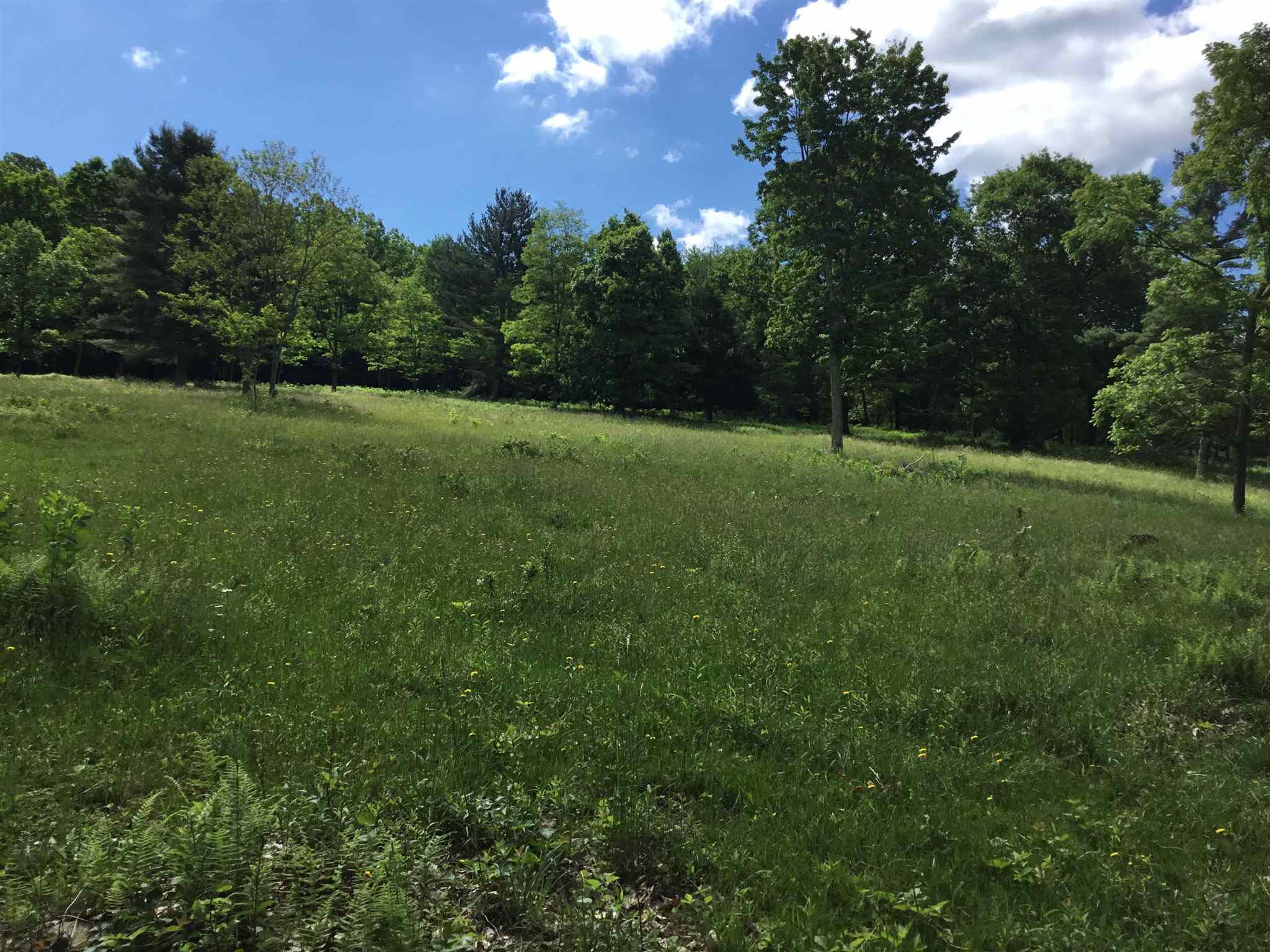 7624 Snowy Mountain Road Circleville, WV 26804 - Photo 11 of 17 a view of a grassy field with trees